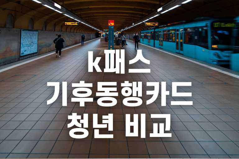 k패스 기후동행카드 청년 비교
