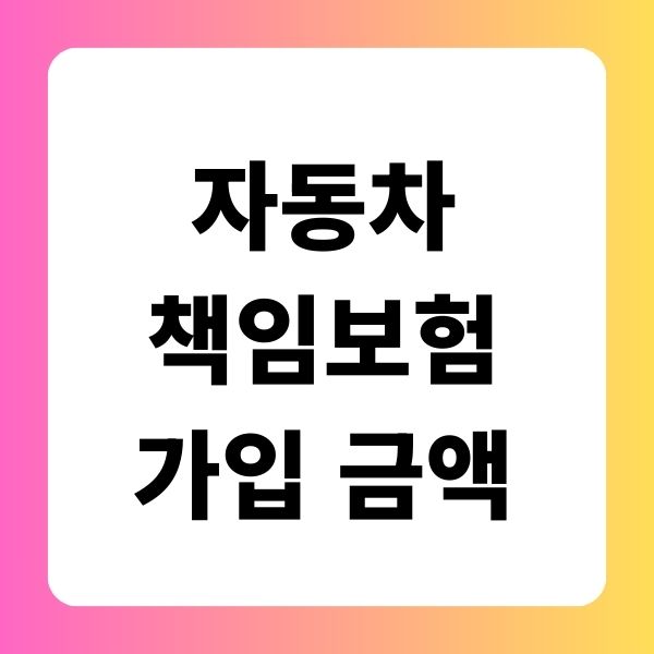 자동차 책임보험 가입 금액