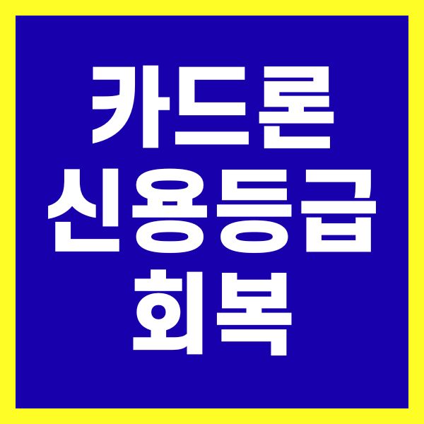 카드론 신용등급 회복