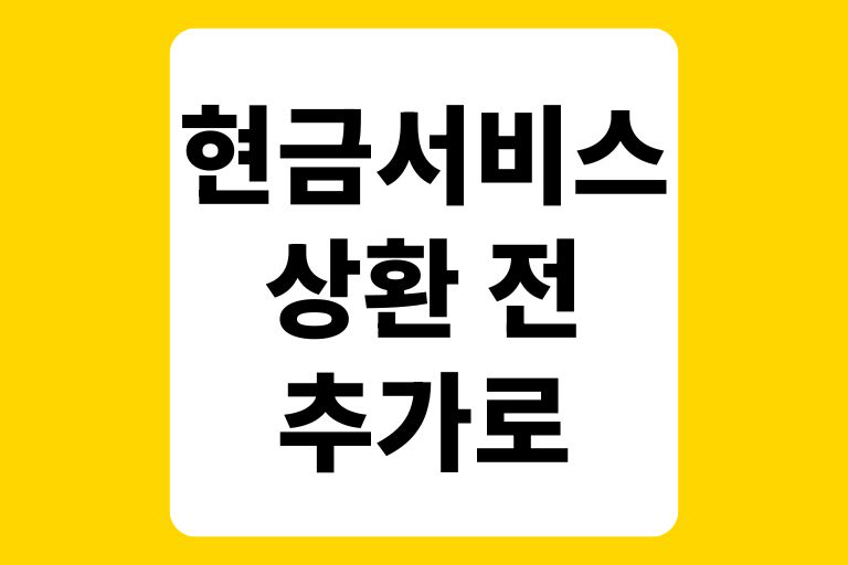 현금서비스 상환 전 추가로